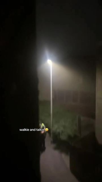 Cover of @bestbargs's TikTok video
