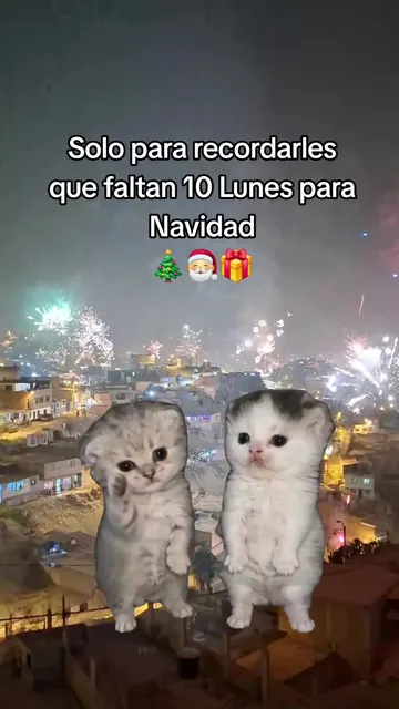 Cover of @contandolosdiasparanavi2's TikTok video