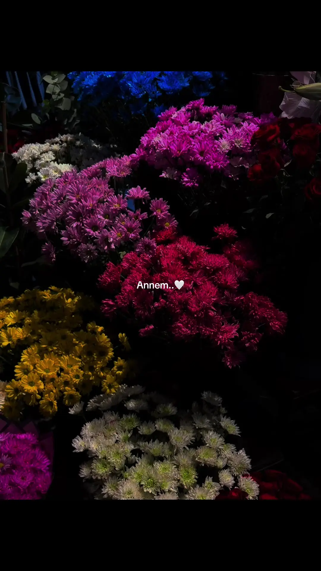 Cover of @61_gecegibi's TikTok video