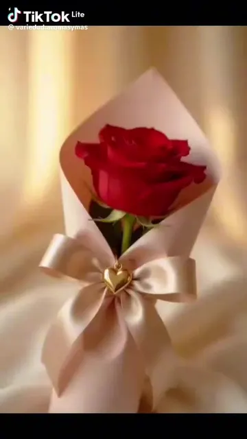 Cover of @rositaalvezpreste's TikTok video